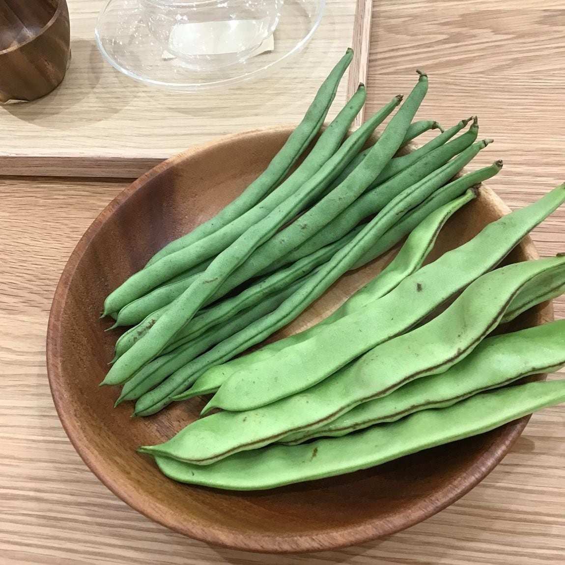 インゲンたち