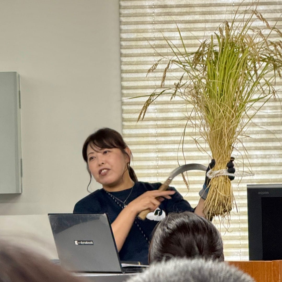 【銀座】屋上で稲刈り　