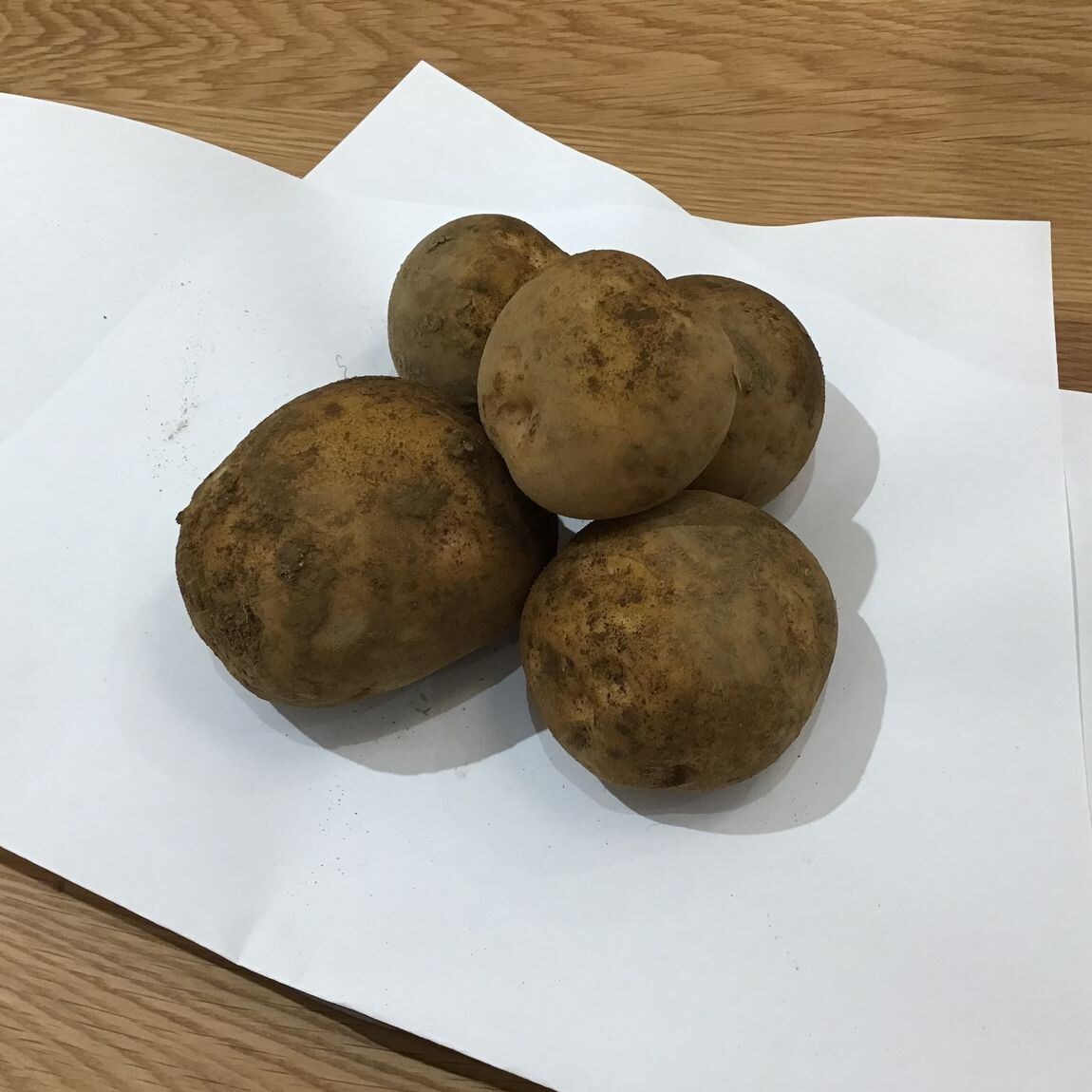 potato