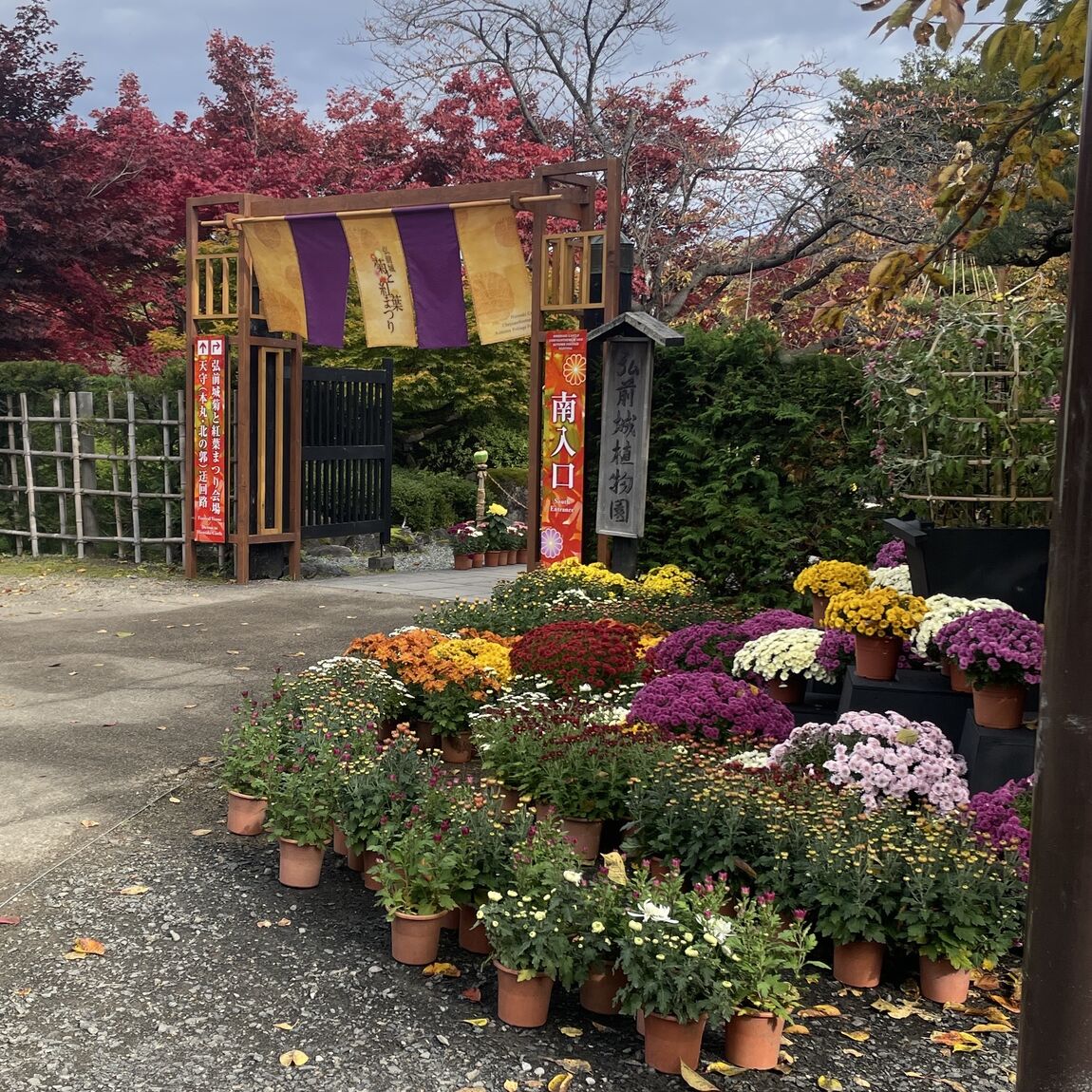 【シーナシーナ弘前】