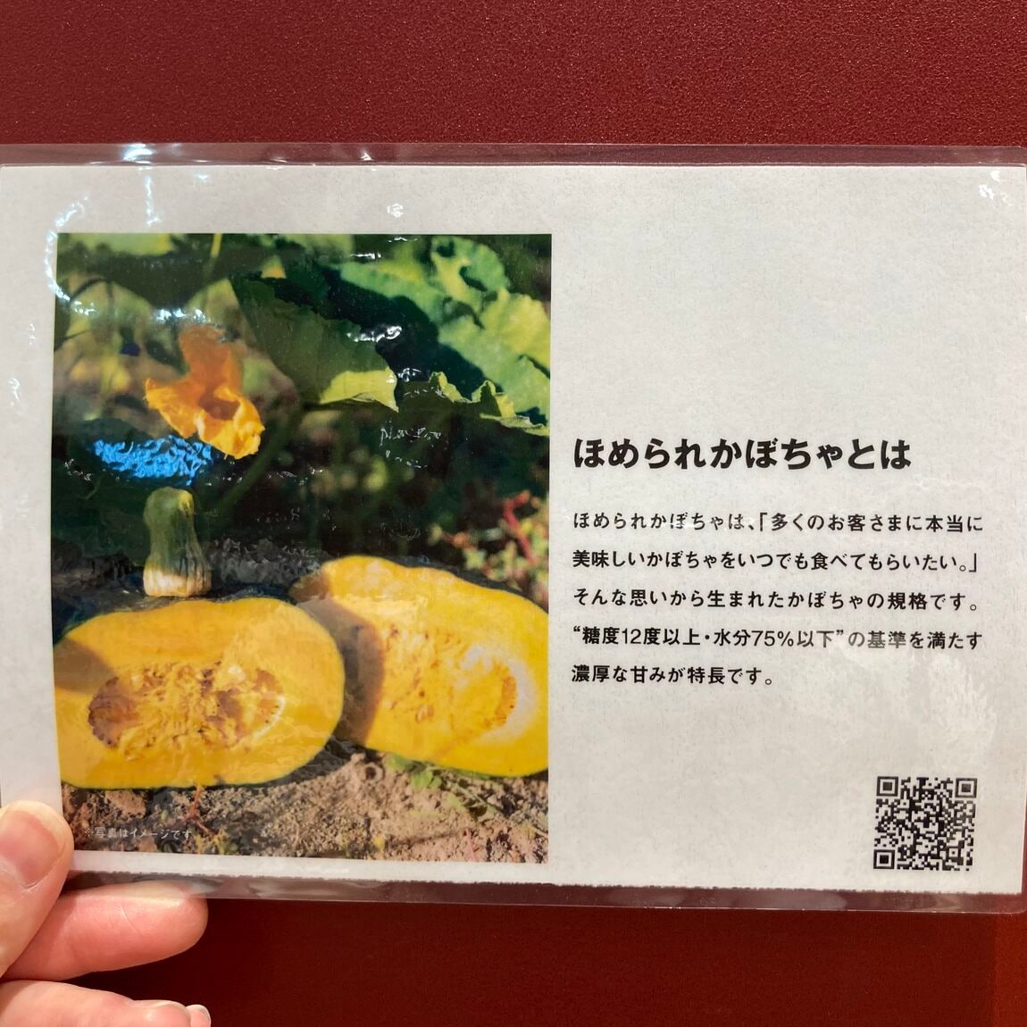 【Vタウン芥見】試食会のお知らせ_i48eDL