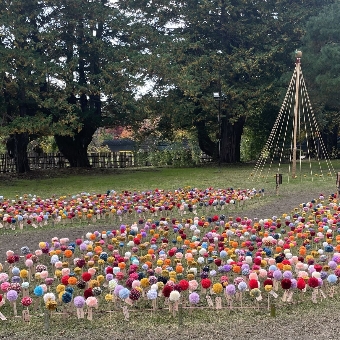 【シーナシーナ弘前】