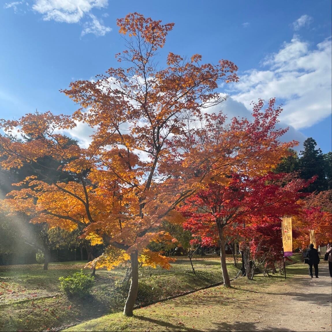 【シーナシーナ弘前】