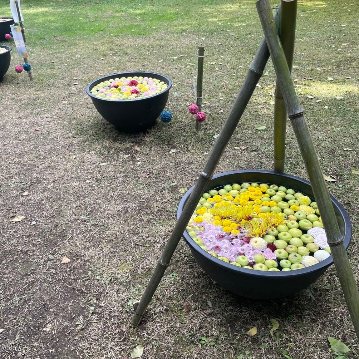 【シーナシーナ弘前】