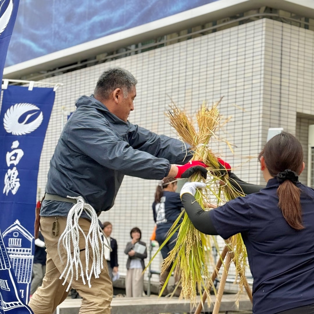 【銀座】屋上で稲刈り　
