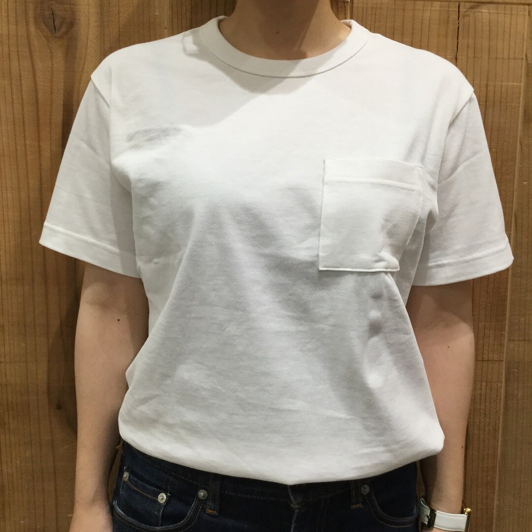 【イオンモールりんくう泉南】婦人Ｔシャツ