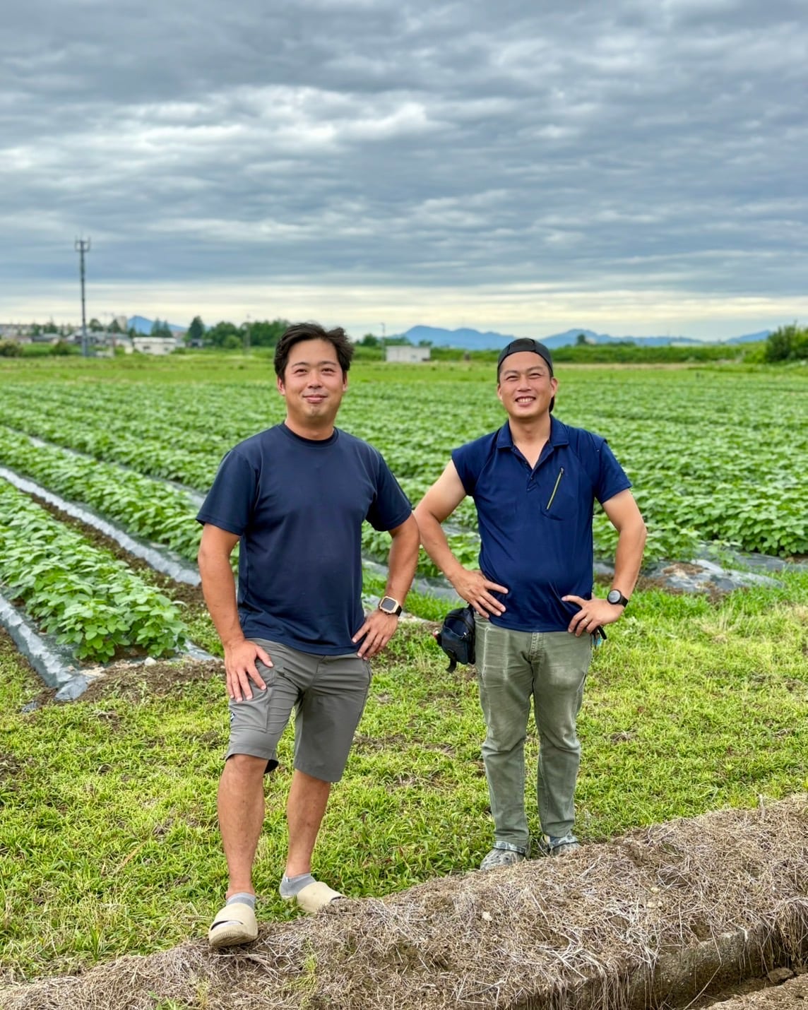 もちつきイベント