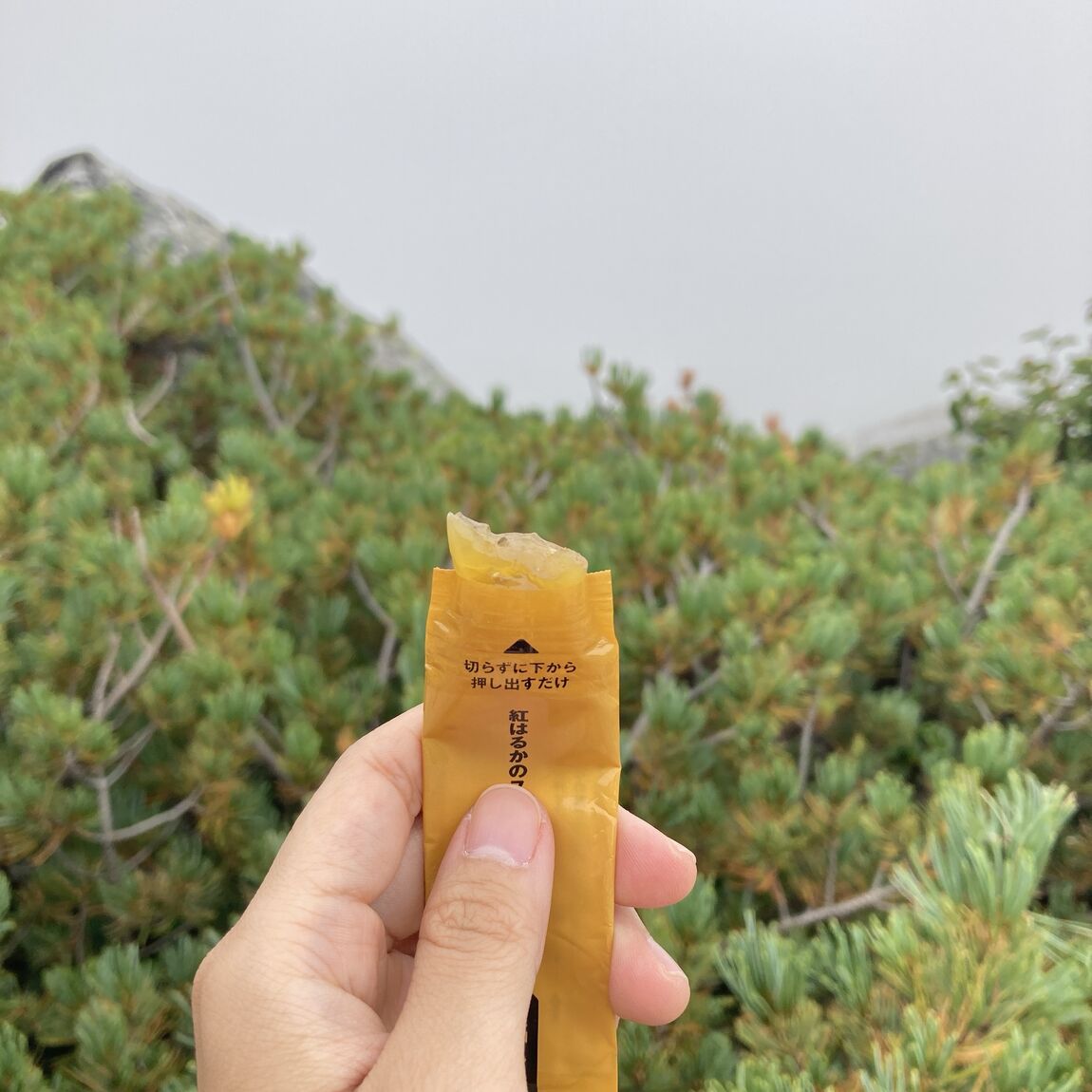 【イオンモール大高】芋ようかん