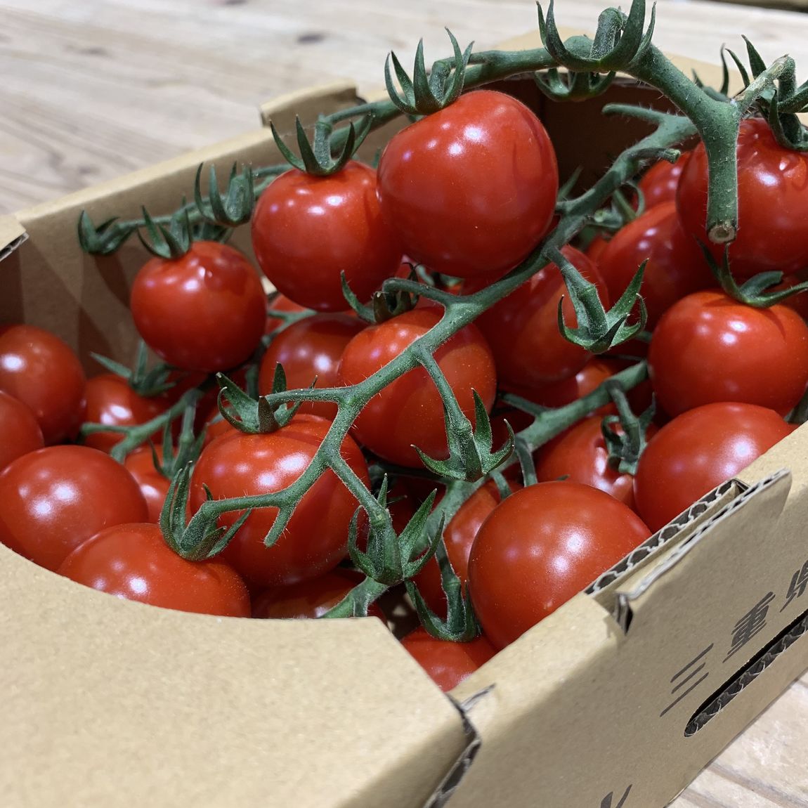 【近鉄四日市】房どれミニトマ｜入荷のお知らせ