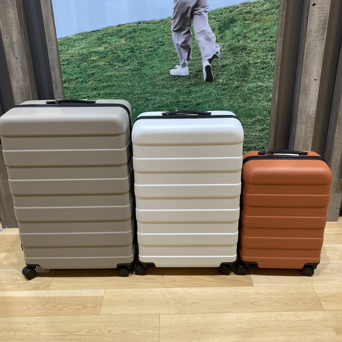 【コクーンシティさいたま新都心】夏の旅行にハードキャリー_ZpkeA6