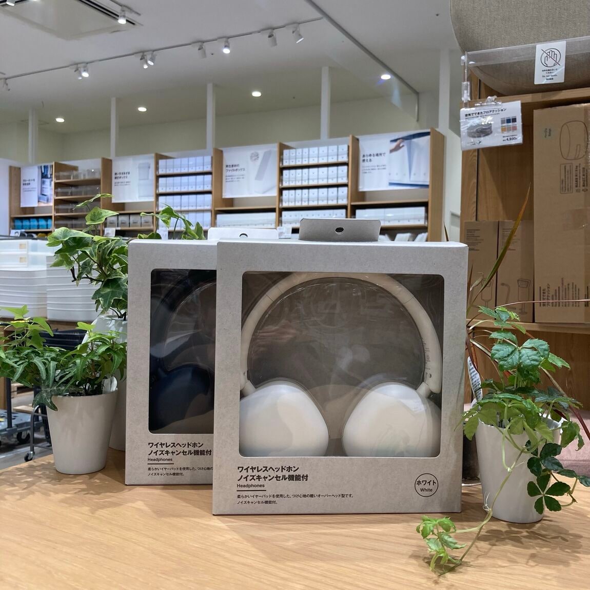 【イオンモール福岡伊都】おすすめの新商品_nUqx8U
