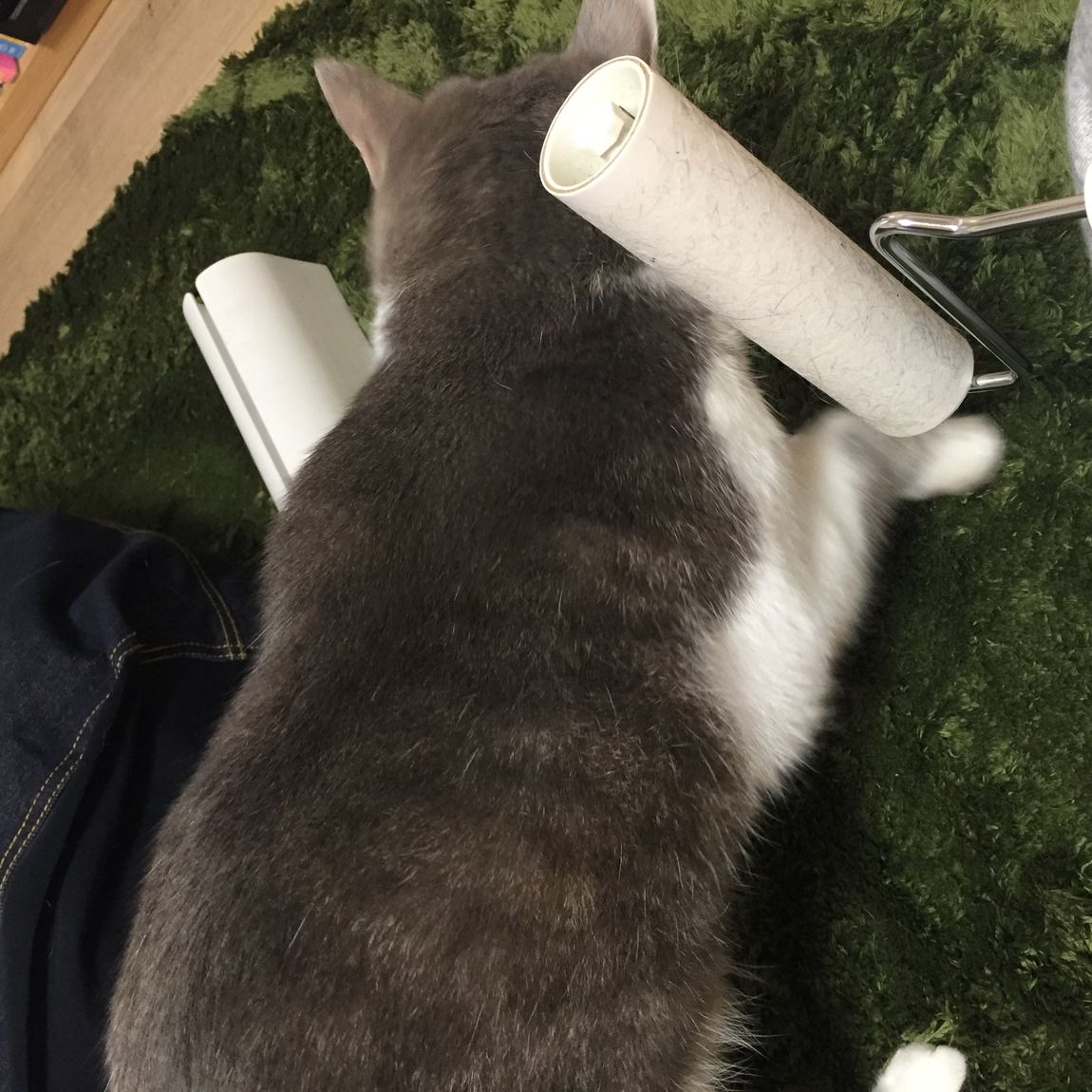 ラグ
