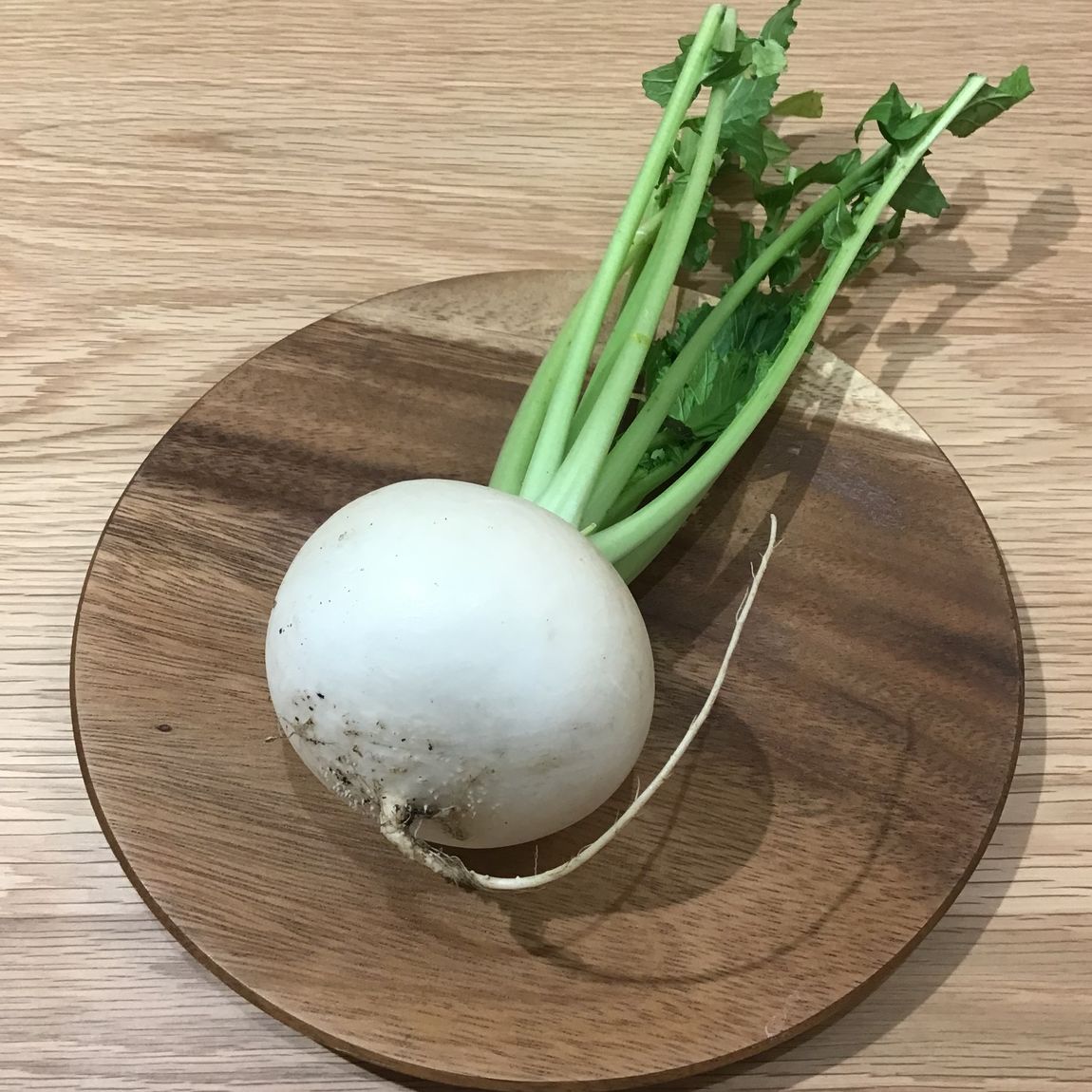 白かぶ