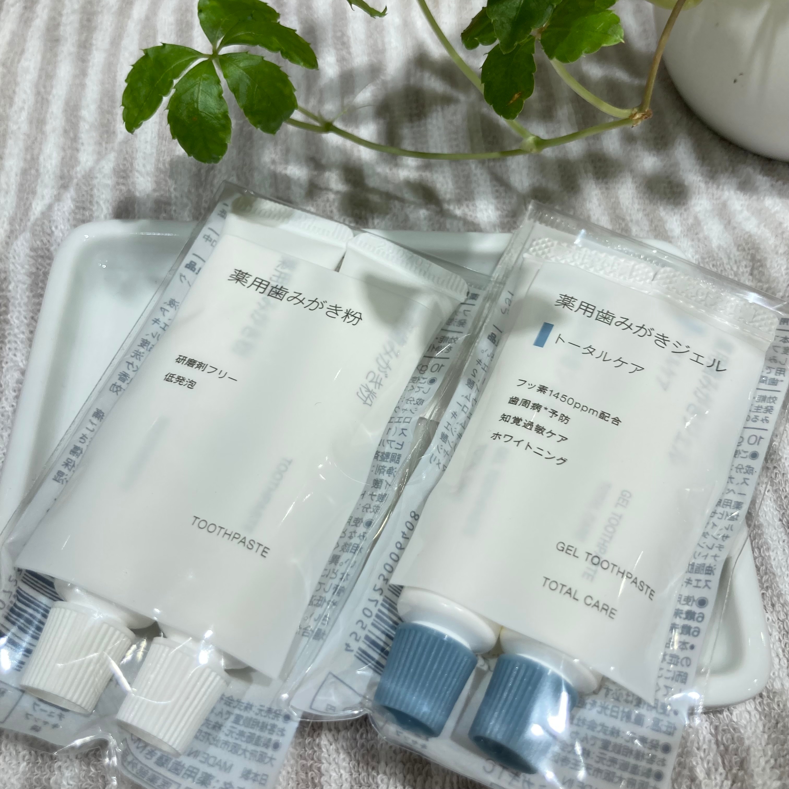 【イトーヨーカドー曳舟】大人気の歯磨き粉から新商品が登場しました！_3szF4K