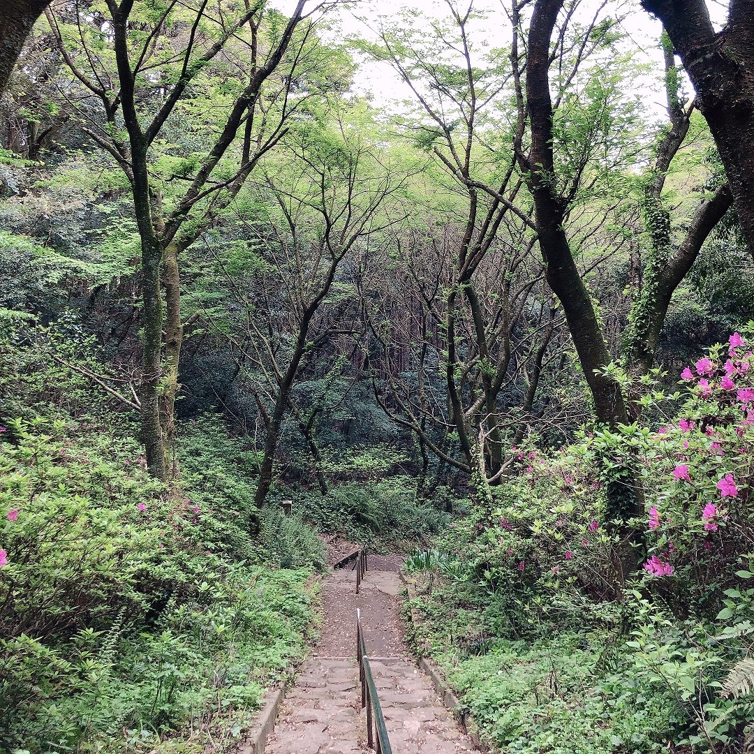 【イオンモール筑紫野】 撥水リュック