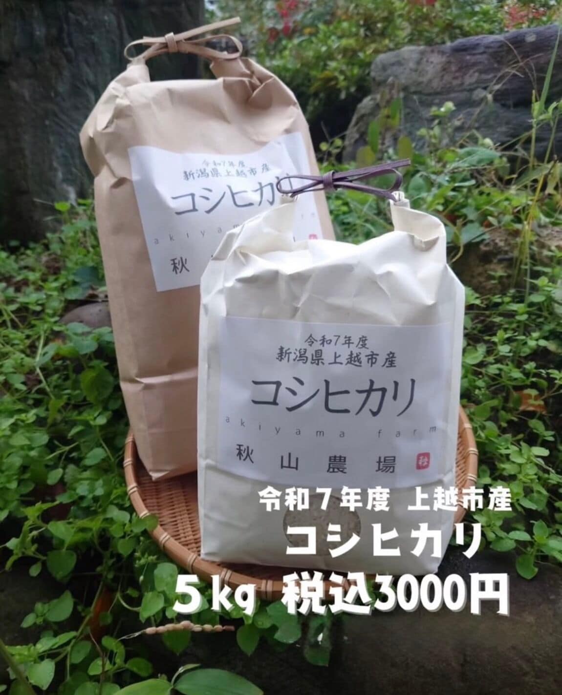 三和のおすすめ市