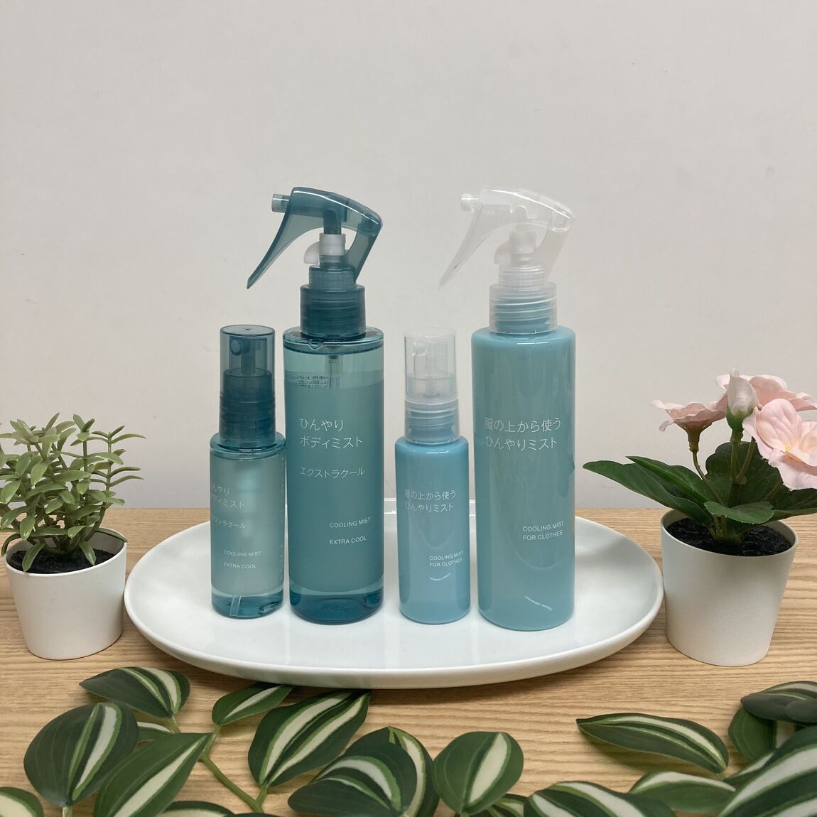 4月26日（日）大お試し会ラインナップ紹介