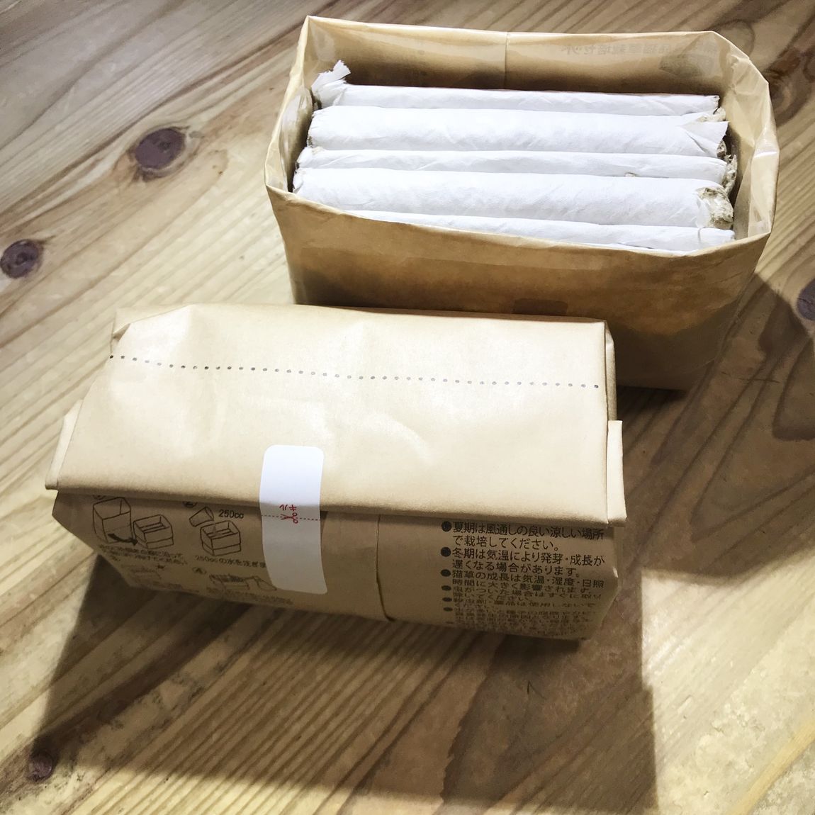 【エスパス仙台】わが家のねこの愛用品