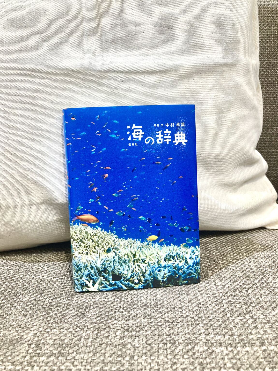 プロモ3