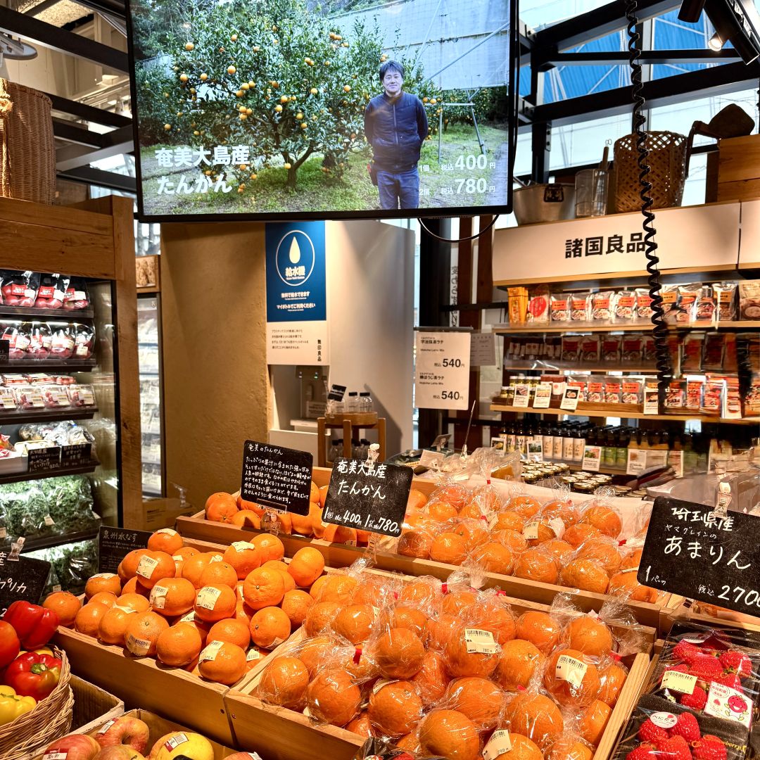 【銀座】奄美大島の果物　たんかん　