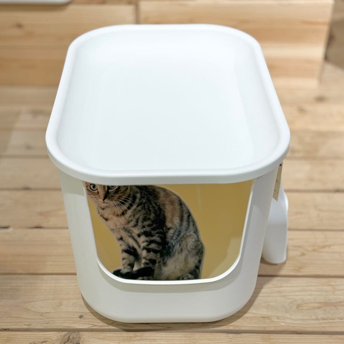 トイレとハウス