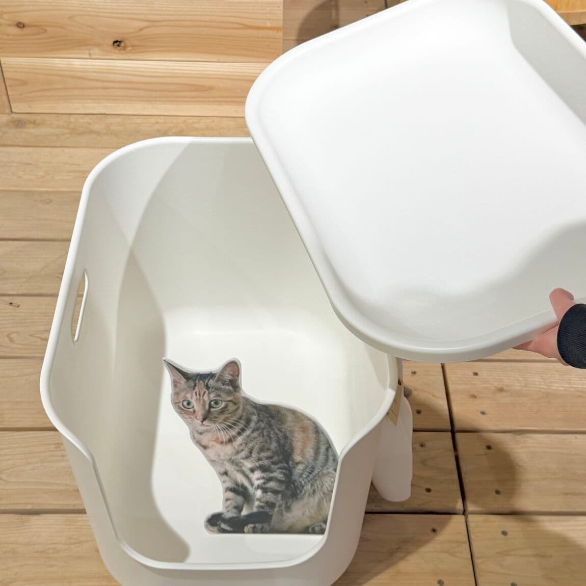 トイレハウス②