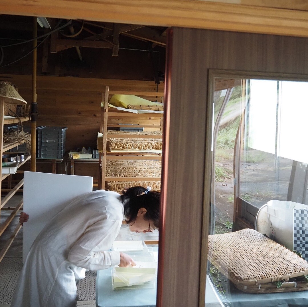 松井さんとお蚕さん