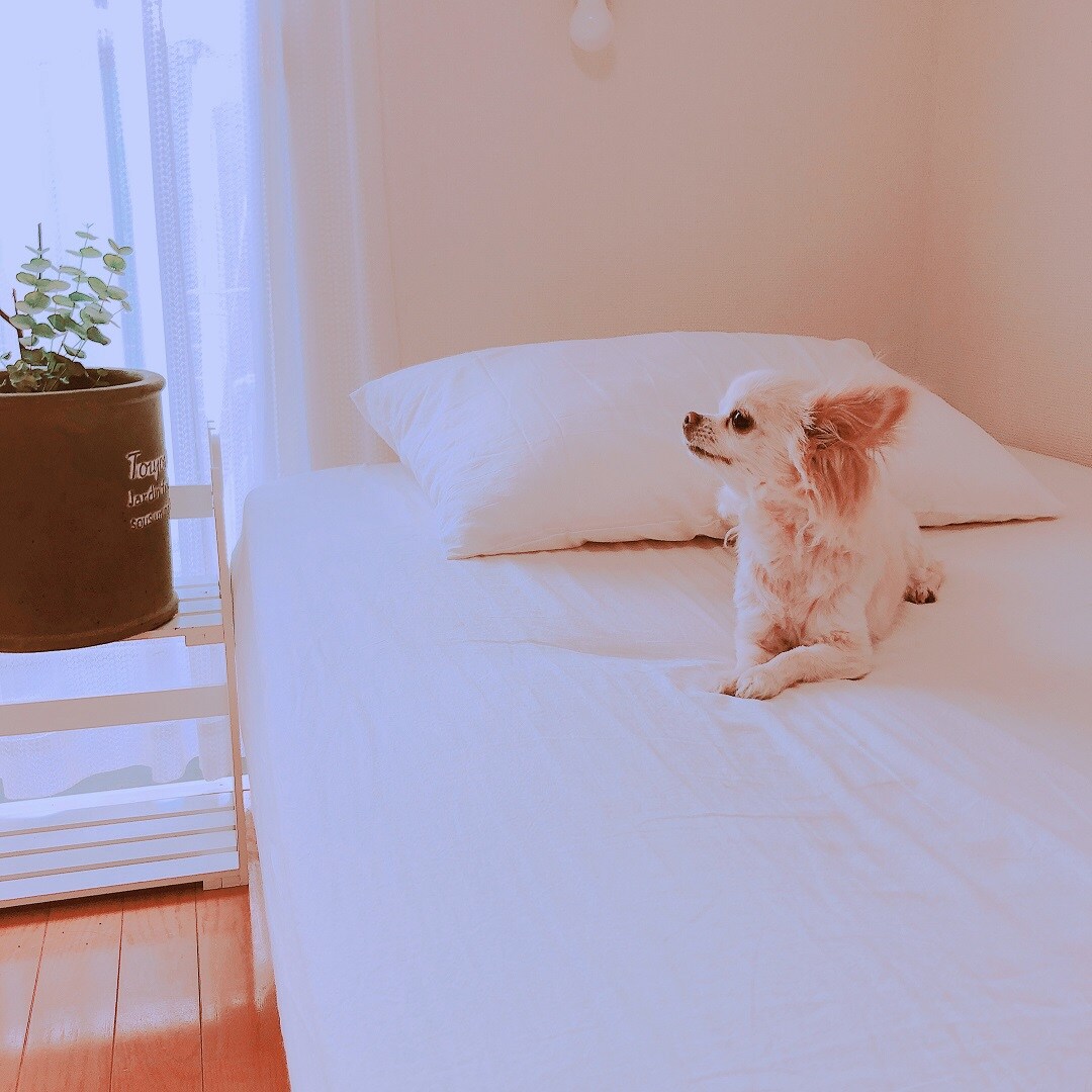 快眠の、ススメ。