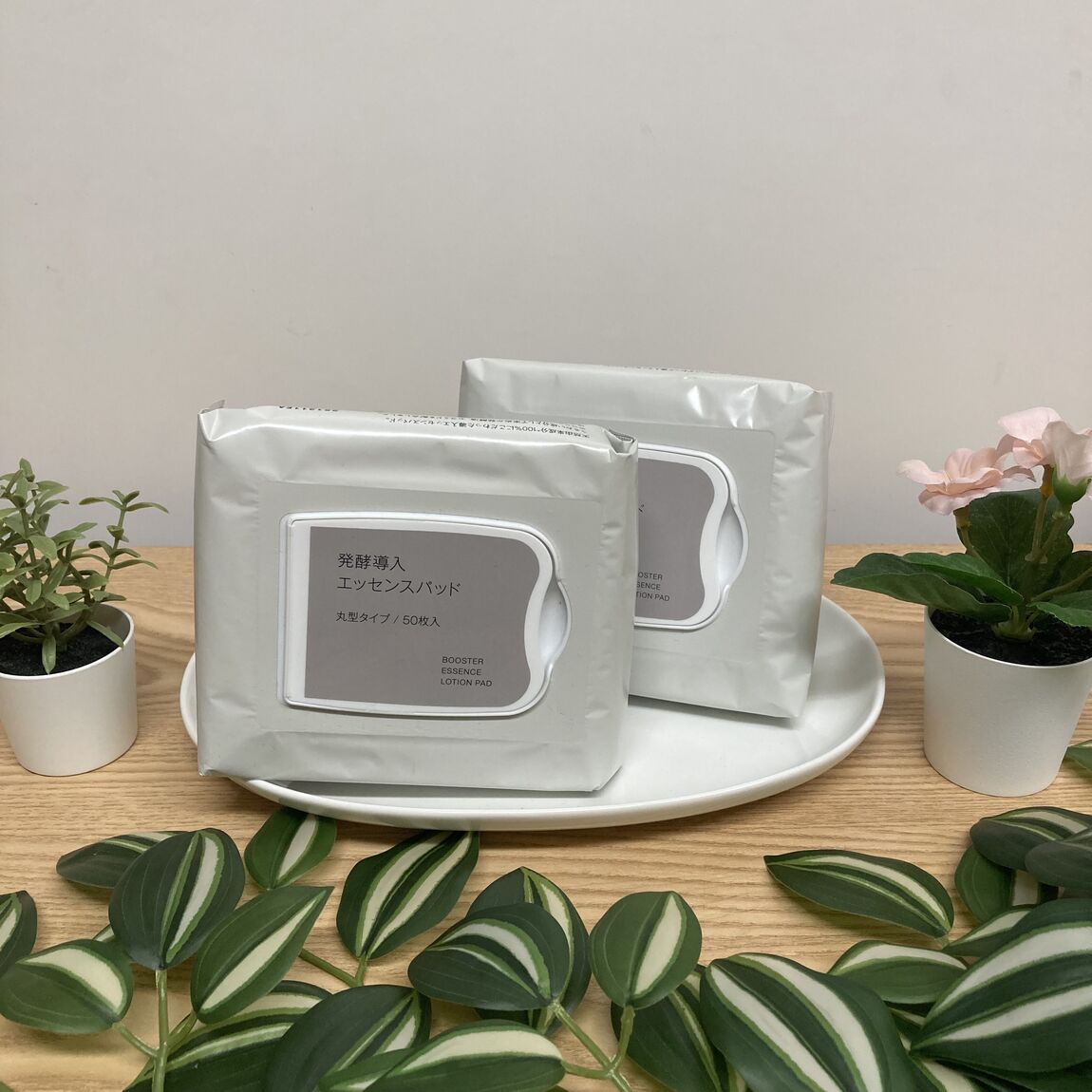 4月24日（金）大お試し会ラインナップ紹介