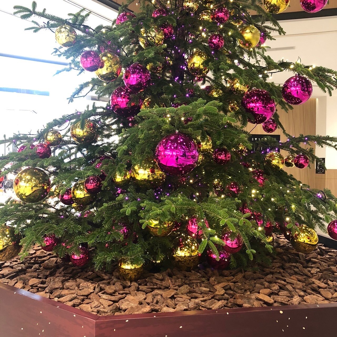 クリスマスツリー