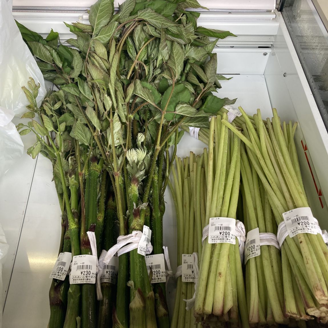 山菜