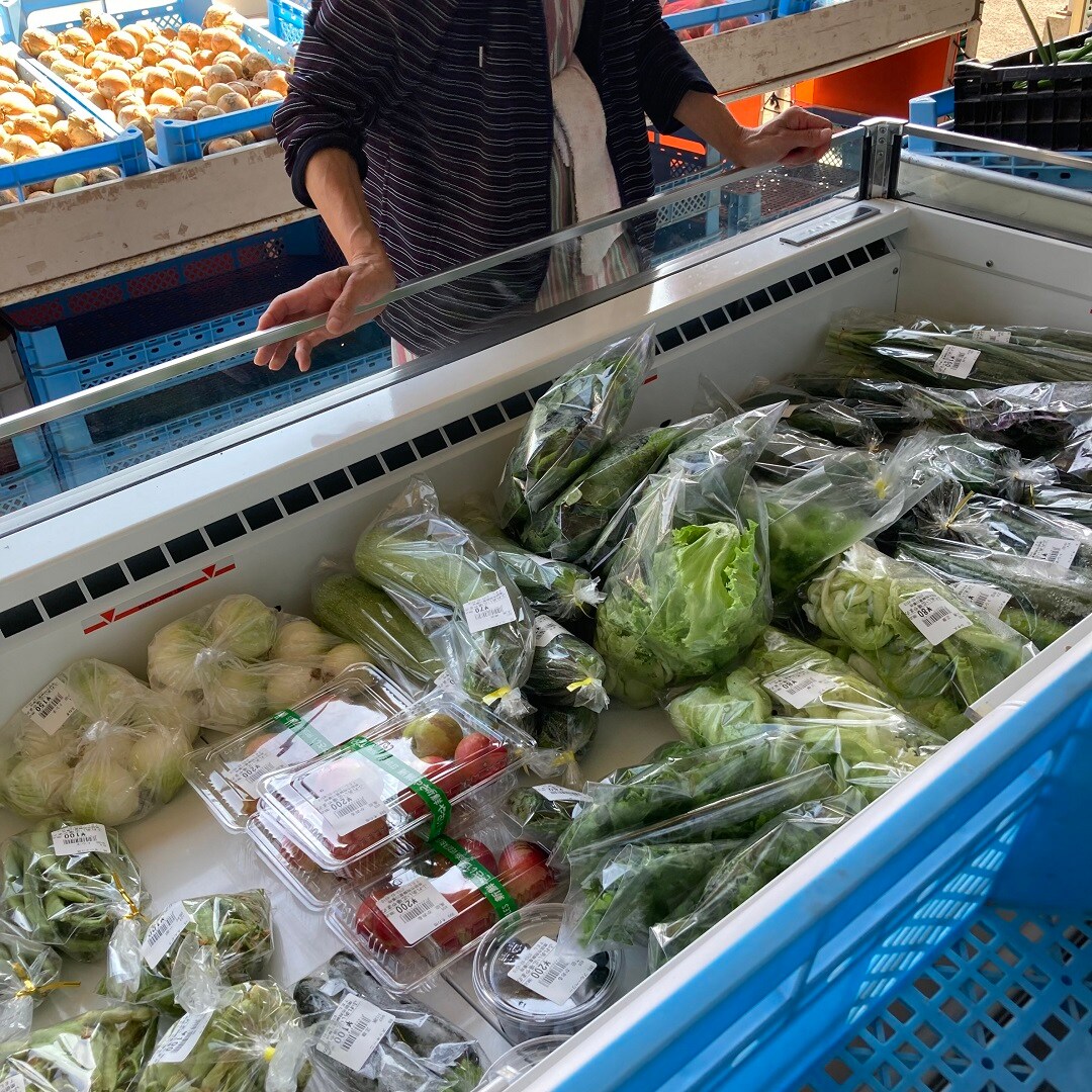 野菜がたくさん