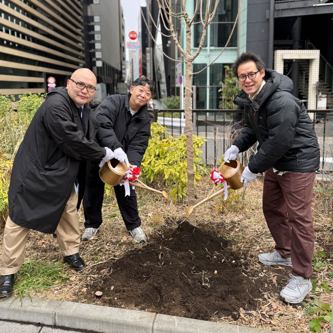 【銀座】銀座の桜｜今年で3回目。植えてから咲くまで 。
