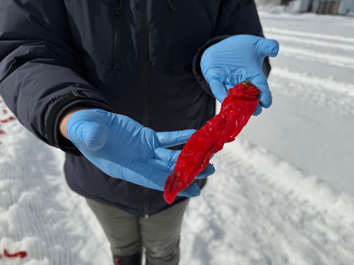 かんずり雪さらし