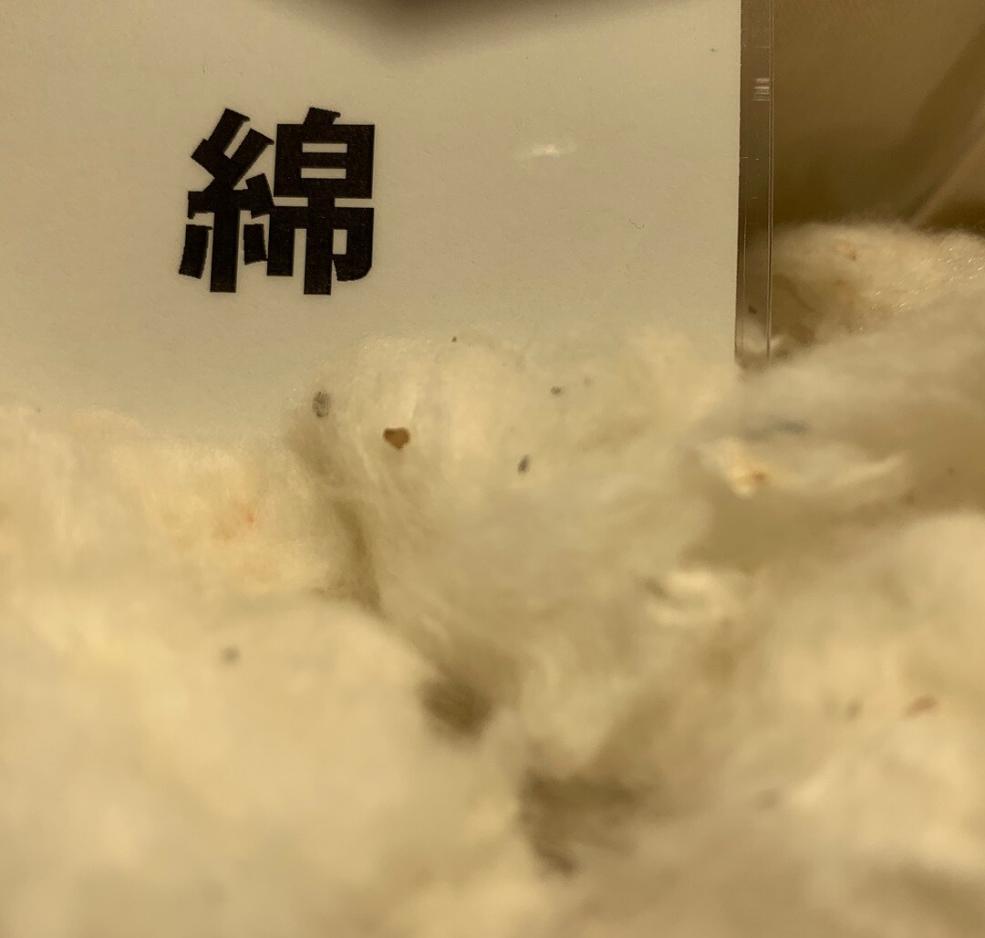 【広島パルコ】無印のあったかインナーは綿です