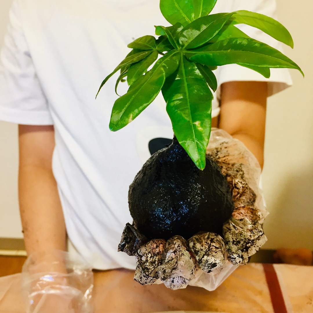 【西友浦安】じぶんでつくるこけだまキット
