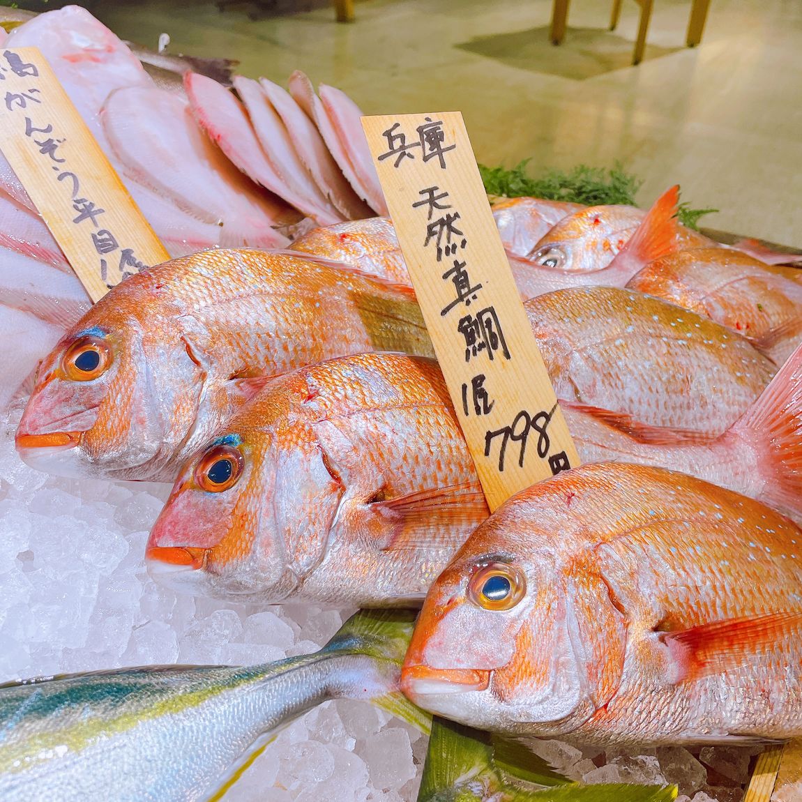 【堺北花田】今日はさっぱりお刺身で｜鮮魚売場から