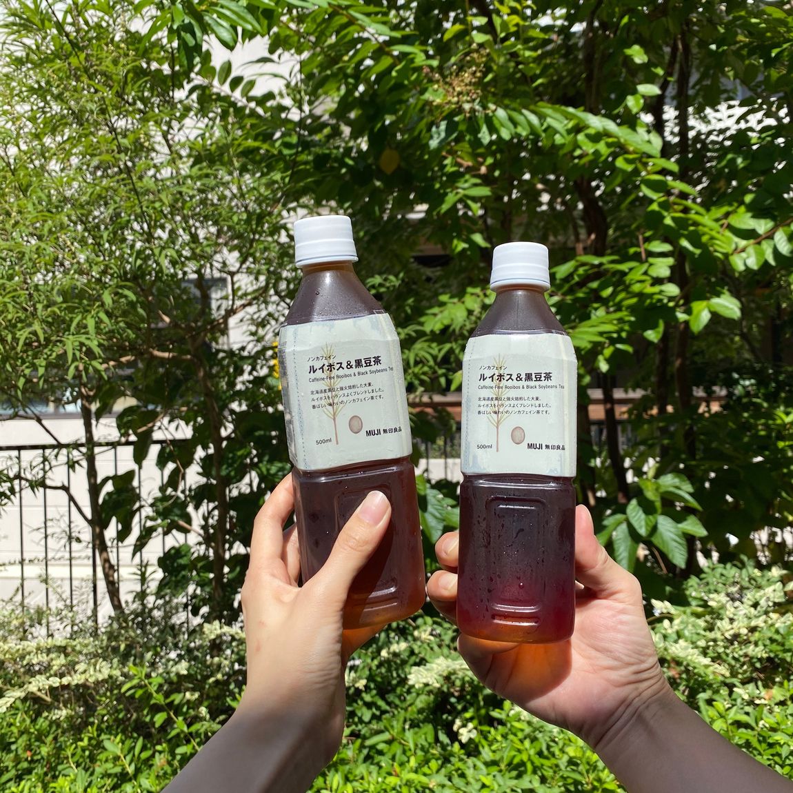 お茶