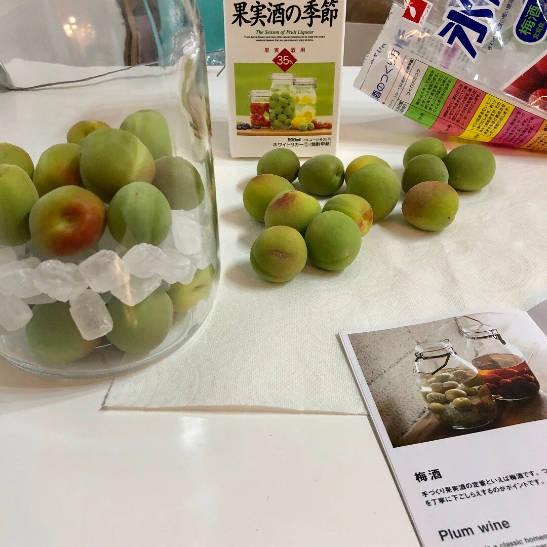 梅こうり