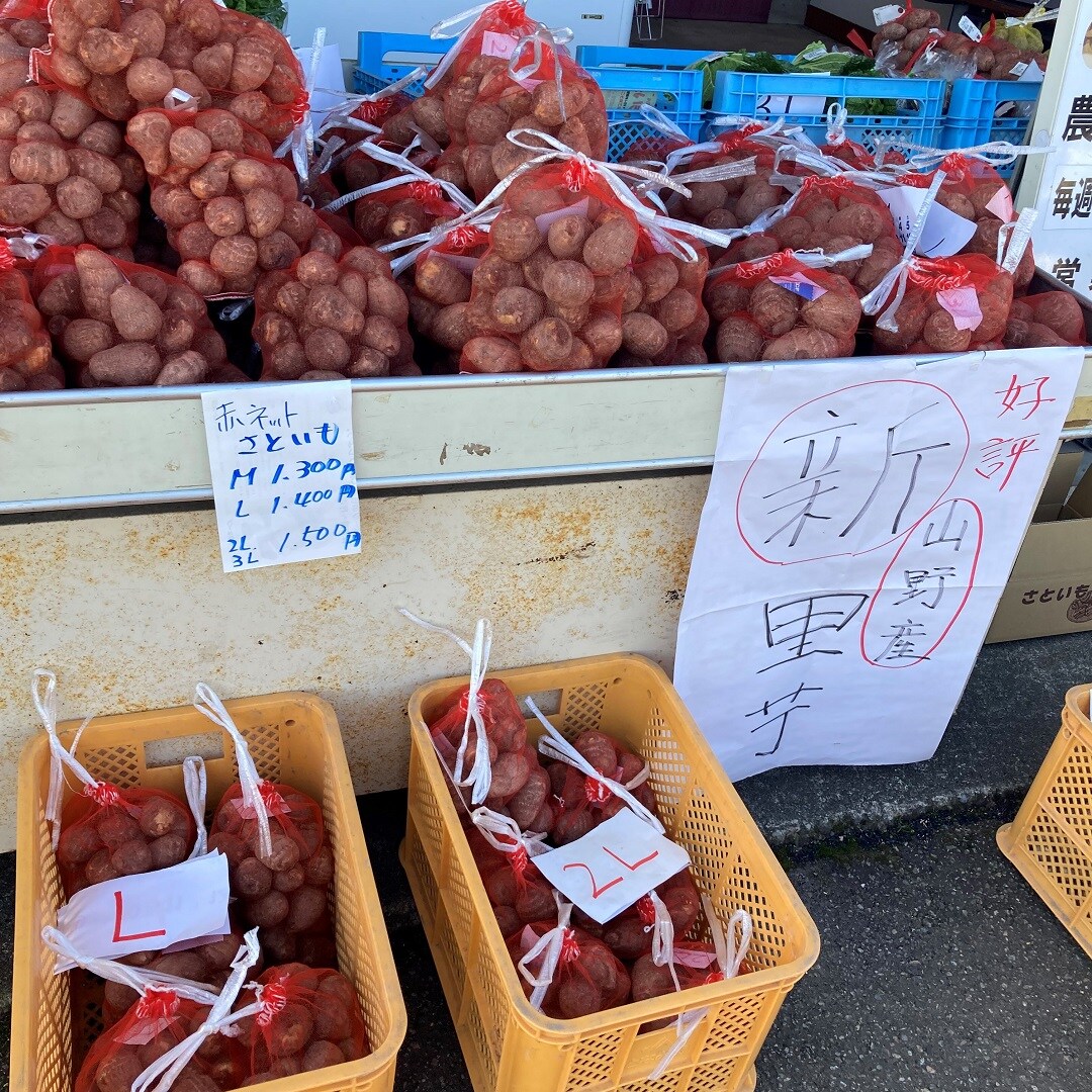 新里芋