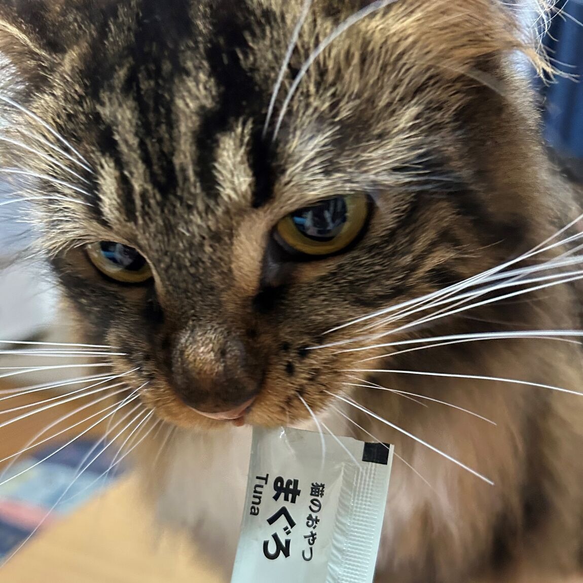 【近鉄四日市】