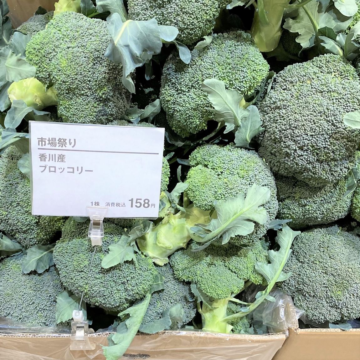 【堺北花田】林田商店さんの市場まつり開催中｜うまいもん市