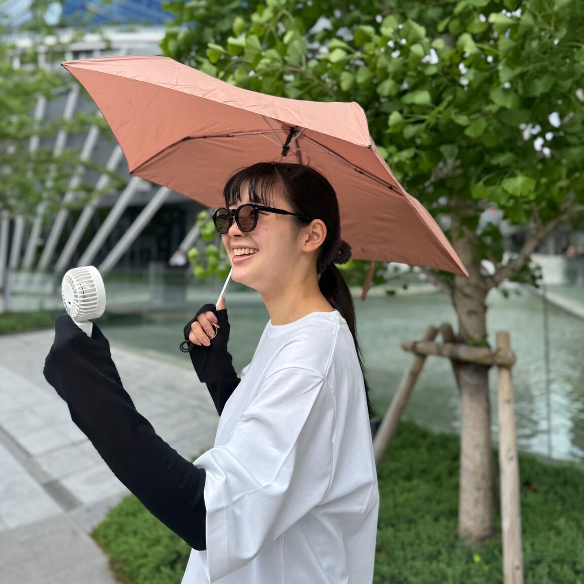 日傘の写真