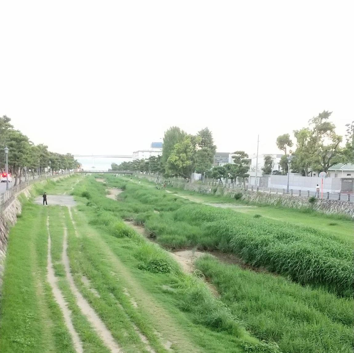 芦屋川