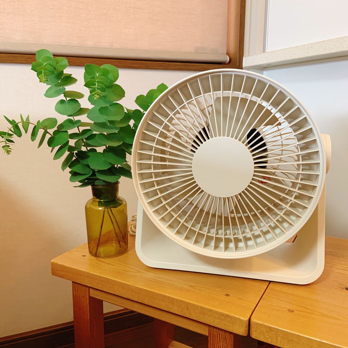 サーキュレーター