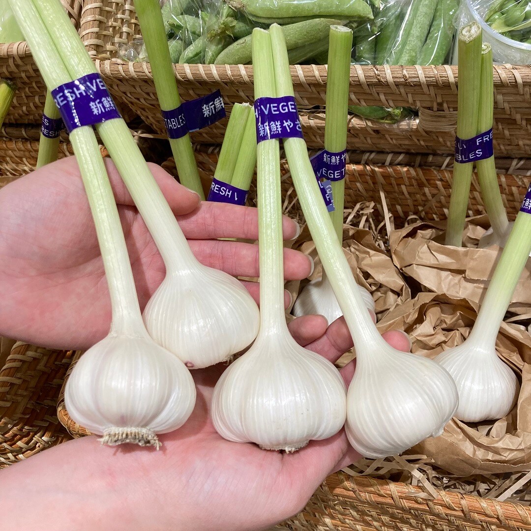 にんにくの写真