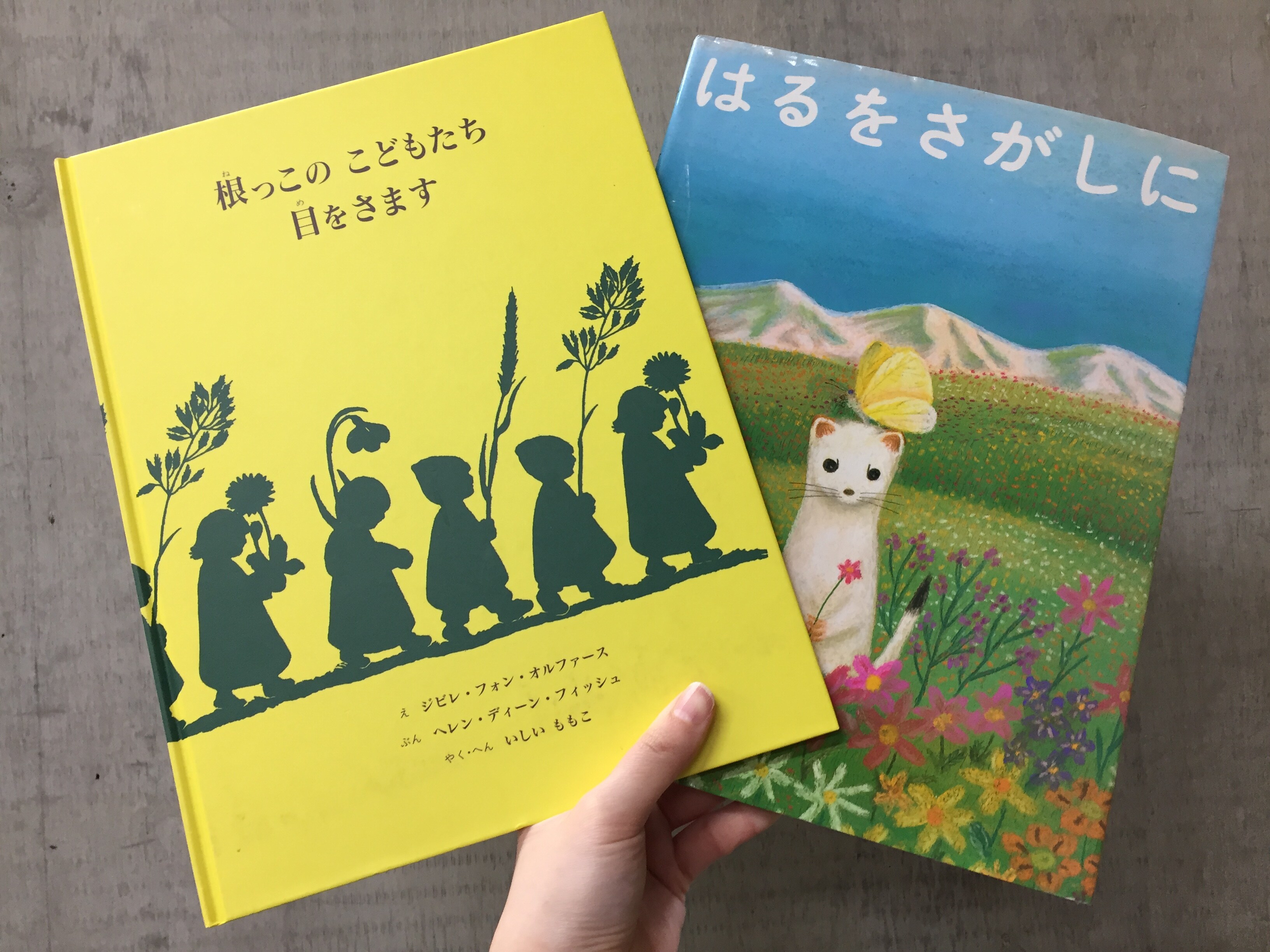 【シエスタハコダテ】古いけど良い本の市を開催します③