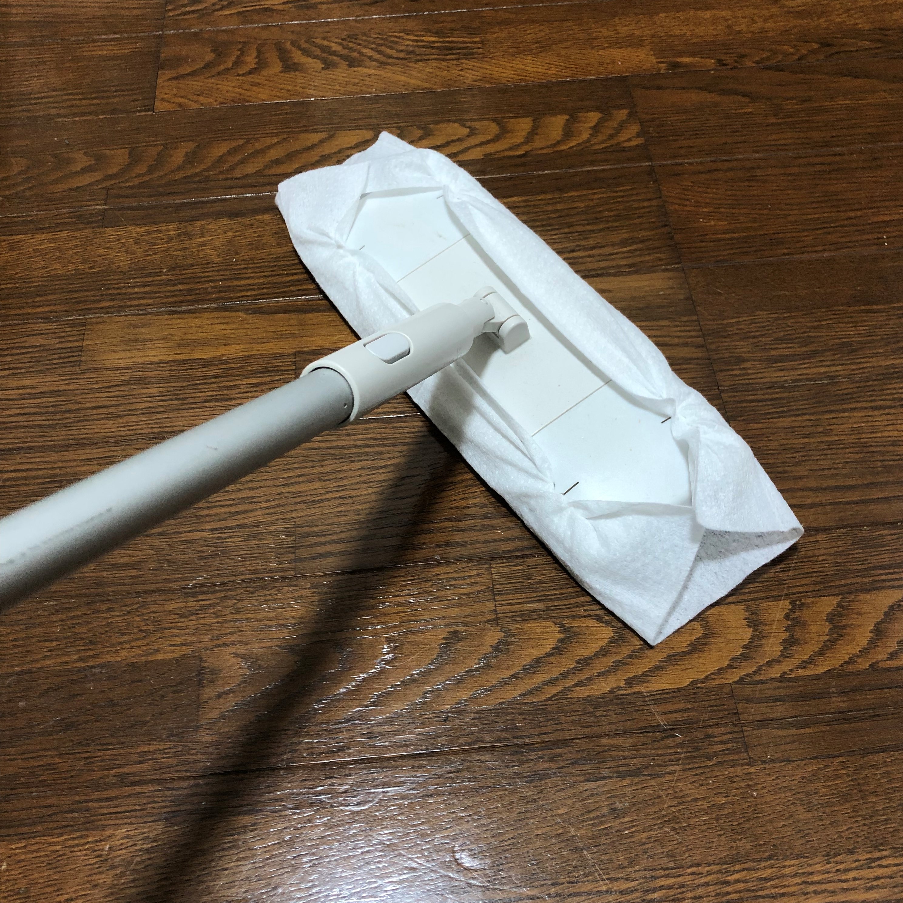 そうじ