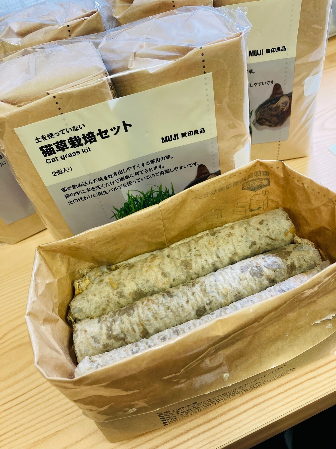 猫草