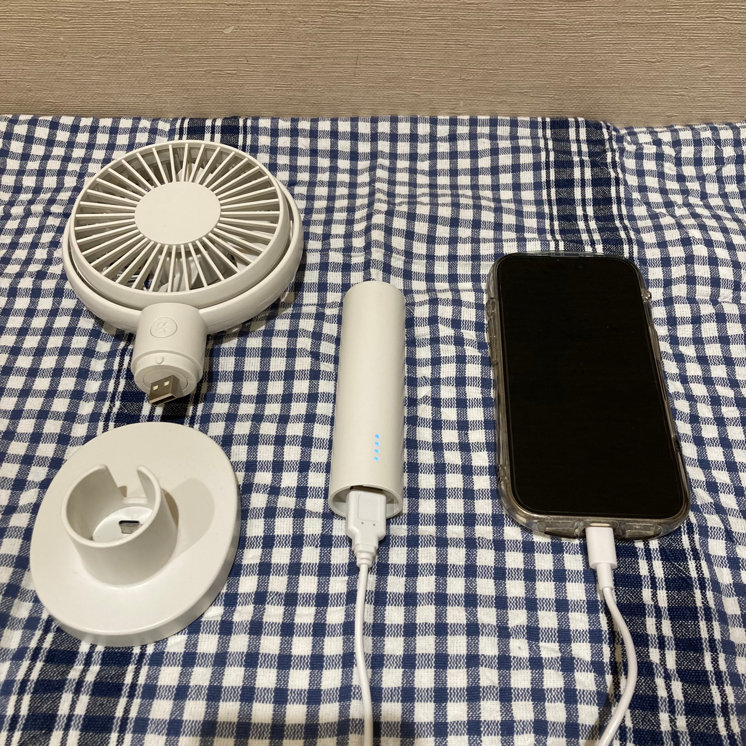 ハンディファン